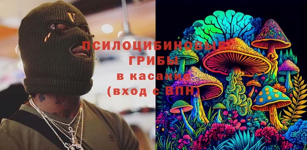 гидра Осташков