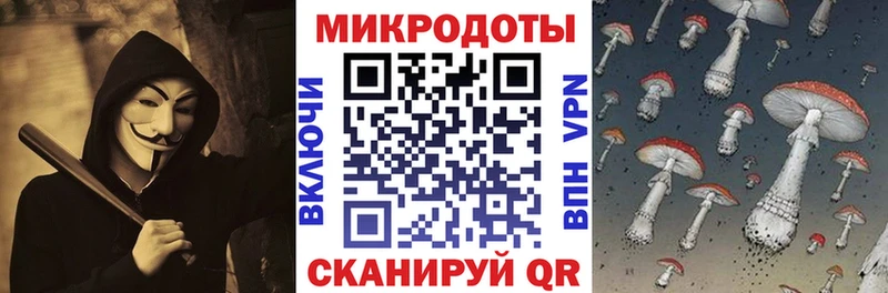 MEGA ТОР Чкаловск Галлюциногенные грибы прущие грибы